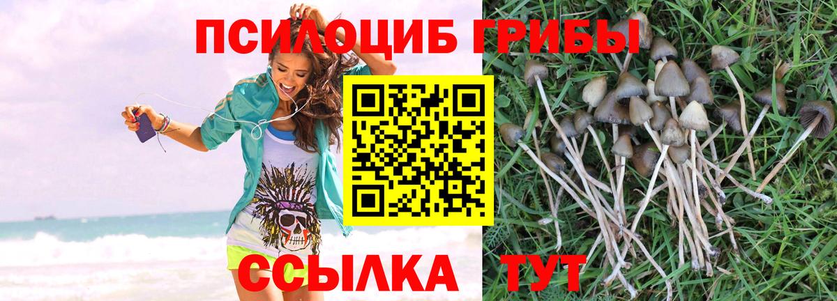 Псилоцибиновые грибы Magic Shrooms  Вход с VPN  Вятские Поляны 